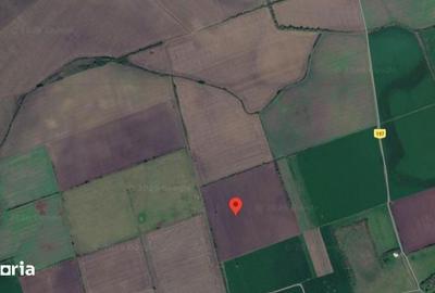 Teren de 5800 mp, în Avrămeni - 3