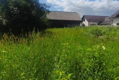 Teren de 10000 mp, în Măneuți - 1