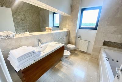 PENTHOUSE LUMINOS CU 3 CAMERE LA INCHIRIERE LANGA SCOALA BRITANICA - 9