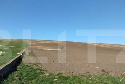 Teren 3600 mp, la DE 85, iesire Letcani, utilitati aproape - 3