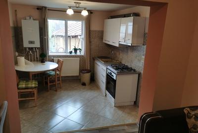 Apartament 2C Podu de Fier - 1