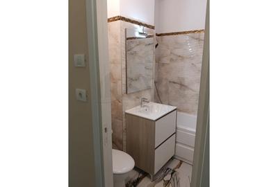 REA1023962 Apartament 3 camere renovat Piata Delfinului - 8