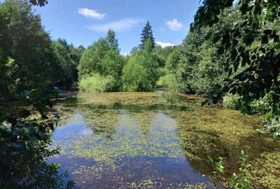 Casă cu 6 camere cu Teren 6060 Mp în Căsoi - 6