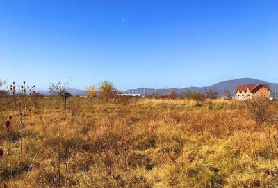 Teren investitie Ghimbav - 4