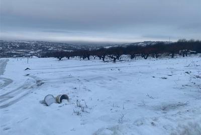 RECO teren Saldabagiu de Munte - 2