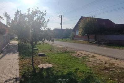 Teren de 757 mp, în Orțișoara - 2