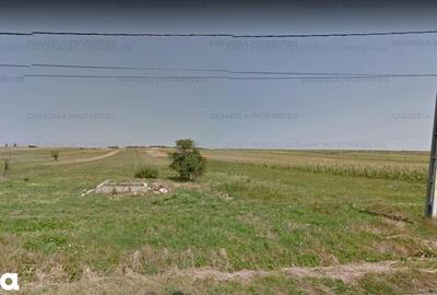 Teren de 3600 mp, în Tarcău - 3