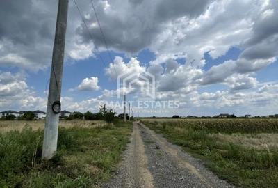 VANZARE TEREN CIOROGARLA - ZONA DEZVOLTATA 3500 MP ACCES RAPID LACULUI - 2
