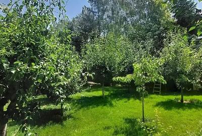 Vila cu 8 Camere Corbeanca | Piscina | Semineu | Sauna | Curte 2300mp - 5