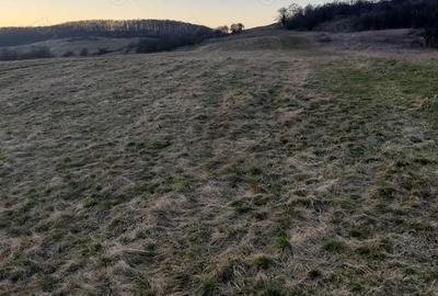Teren de 4090 mp, în Cozia - 3