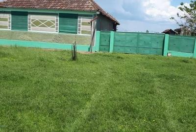 Casă cu 2 camere în Alioș - 7