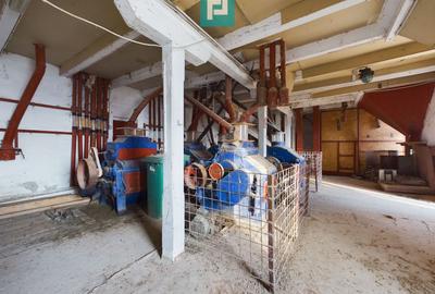 Casă individuală cu 8 camere cu Canalizare în Periam - 7