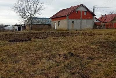Casă cu Teren 2000 Mp în Micula - 1