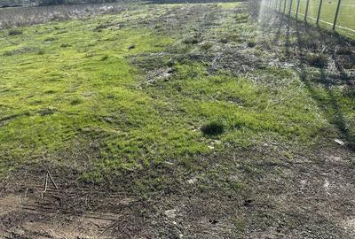 Spațiu comercial, în Negoiești - 3