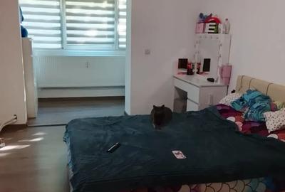 Apartament cu 3 camere decomandat în Pajura - 11