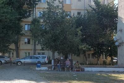 Apartament 3 camere Baia - 4