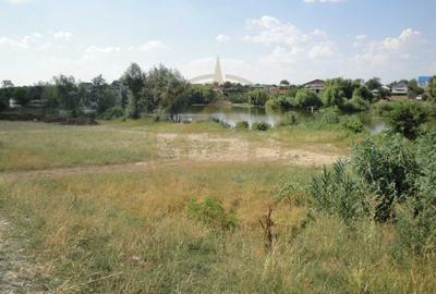 Teren Construcții intravilan de 7850 mp, în Snagov - 1