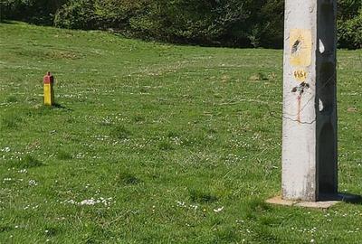 Teren de 8500 mp, în Părău - 1