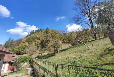 Casă cu 4 camere în Hălmagiu - 2