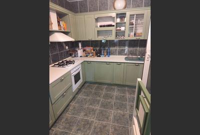 Vila superba 7 camere, Provita de Jos, 22.000 mp teren - 15