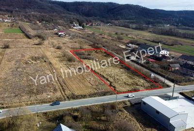 Teren de 6276 mp, în Băiculești - 3