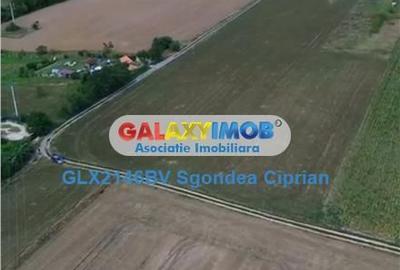 Teren de 1633 mp, în Feldioara - 2