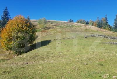 Super Oferta 5.2 euro/mp. Teren de vanzare in zona Arieseni - 1