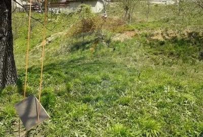 Teren Construcții intravilan de 561 mp, în Turcheș - 2