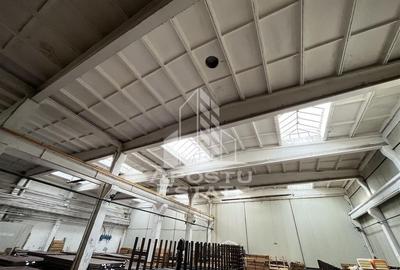 Spațiu comercial, de 1,609 mp, în Buziașului - 2