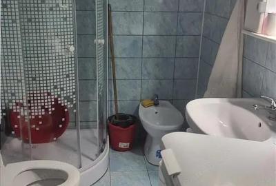 Apartament cu 2 camere decomandat în Ostroveni - 9