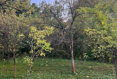 Casa de vanzare Soveja-Vrancea - 34