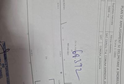 Spațiu comercial, în Cercu - 2