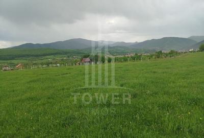 Teren de vinzare in Tropini Vechi - 6