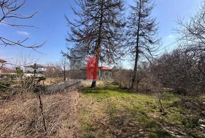 Casă cu 2 camere cu Canalizare în Săftica - 3