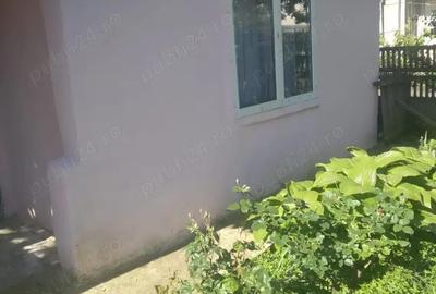 Casă cu 4 camere cu Teren 4000 Mp în Central - 4