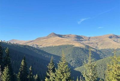 Vand Vila in Sta?iunea Montana Ranca jud Gorj - 5