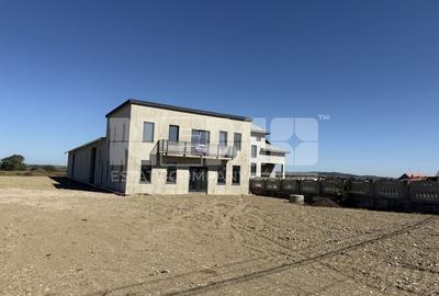 Hala 500 mp|Teren 1,3 ha|Birouri & Apartament| Rădăuți - Badeuti - 1