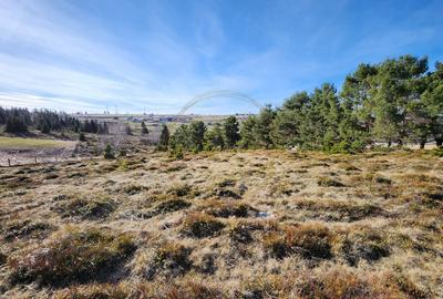 Teren intravilan in Marisel, 10630 mp, zona Cabana Motilor Teren intravilan in Marisel, 10630 mp, zona Cabana Motilor - 3