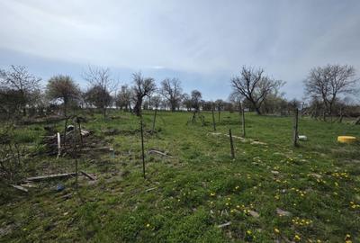 Casă cu 4 camere în Monor - 3