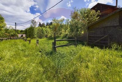 Comision 0%! Proprietate in natura, priveliste superba, Sita Buzaului - 14
