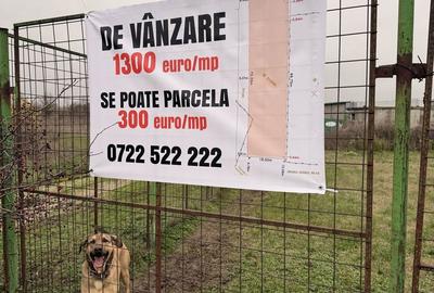 Teren de 1300 mp, în Străulești - 3