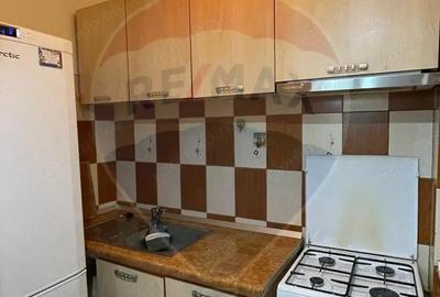 Apartament cu 1 camera de inchiriat in zona Brazda lui Novac - 6