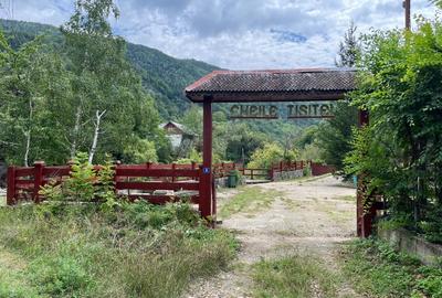 Cheile TisiteiPensiune - 2