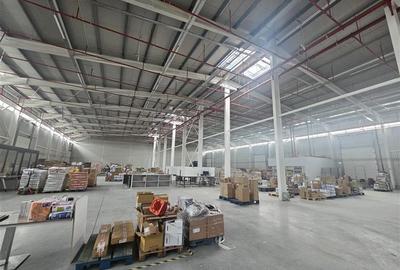 Spațiu industrial, de 1,000 mp, în 23 August (Cațelul) - 4