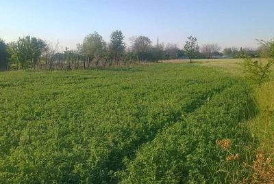 Spațiu comercial, în Merii Petchii - 5