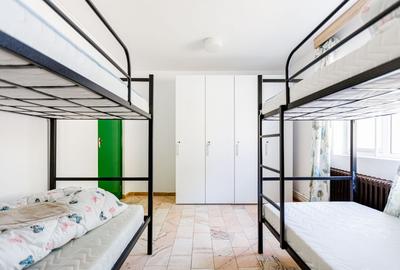 De vanzare proprietate pretabila cazare/locuire/pensiune rurala,  Carani, Timis - 18