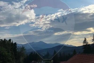 Pensiune 14 camere, Cioplea Predeal investitie, oportunitate - 4