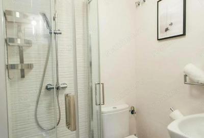 Apartament cu 2 camere decomandat în Nicolae Grigorescu - 3