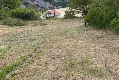 Teren de 1316 mp, în Cozla - 3