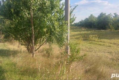 Teren în Gorgota - 8